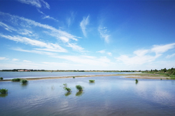 富拉爾基網(wǎng)站建設(shè)