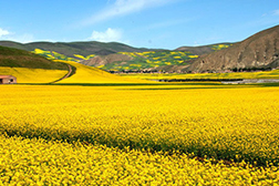 門源網(wǎng)站建設(shè)