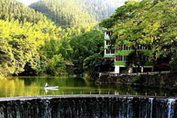 南雄網(wǎng)站建設