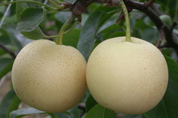 深澤網(wǎng)站建設