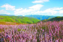 裕民網(wǎng)站建設