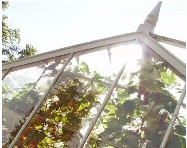 成都陽光房 成都陽光房