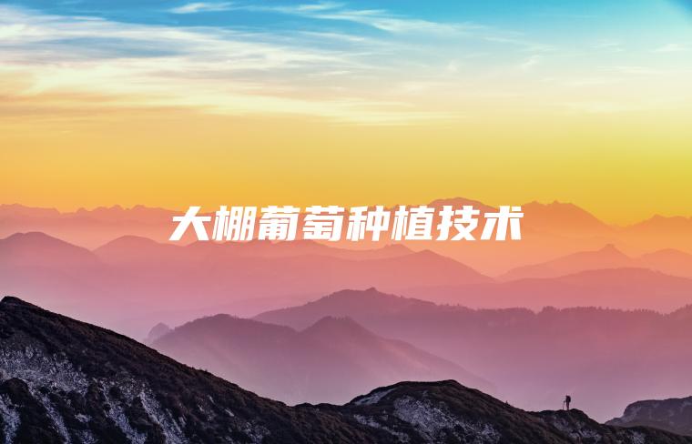 大棚葡萄種植技術 大棚葡萄種植技術