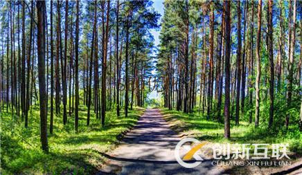 seo優化文章收錄后又被刪除是這么回事 seo優化文章收錄后又被刪除是這么回事