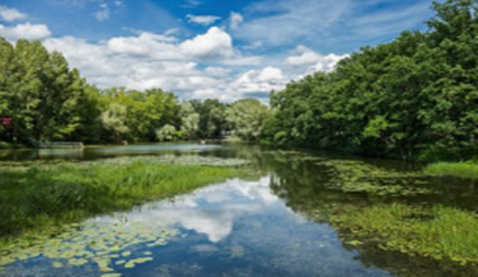 網(wǎng)站制作 網(wǎng)站制作