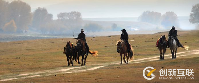 苦逼的seo之路,你來過又走了