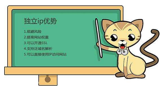 虛擬主機有獨立IP嗎?