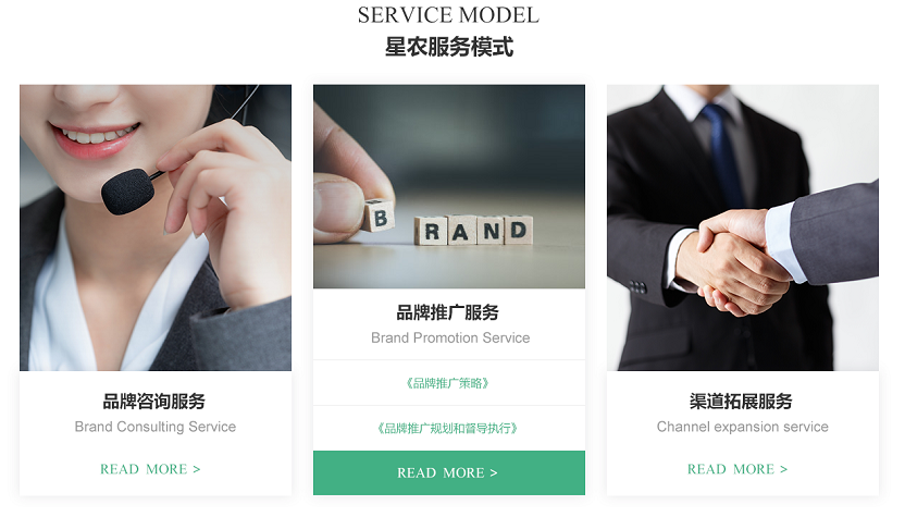 網站設計 網站設計