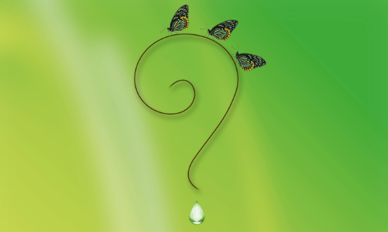 為什么說兩到三年是公司<a href=