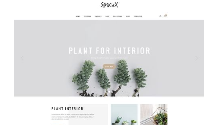 高端網(wǎng)站建設公司