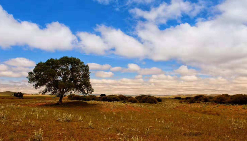 上海網(wǎng)站建設(shè)公司