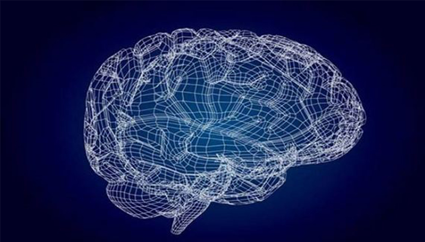 上海網站建設公司