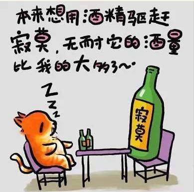 我們不能裝作很努力,得付出行動! 個人怎樣建網站