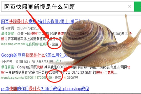 網(wǎng)頁快照更新不及時(shí)是什么問題？