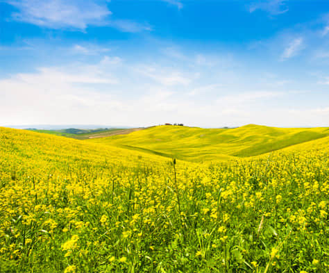 網站設計的基本要求包括哪些方面