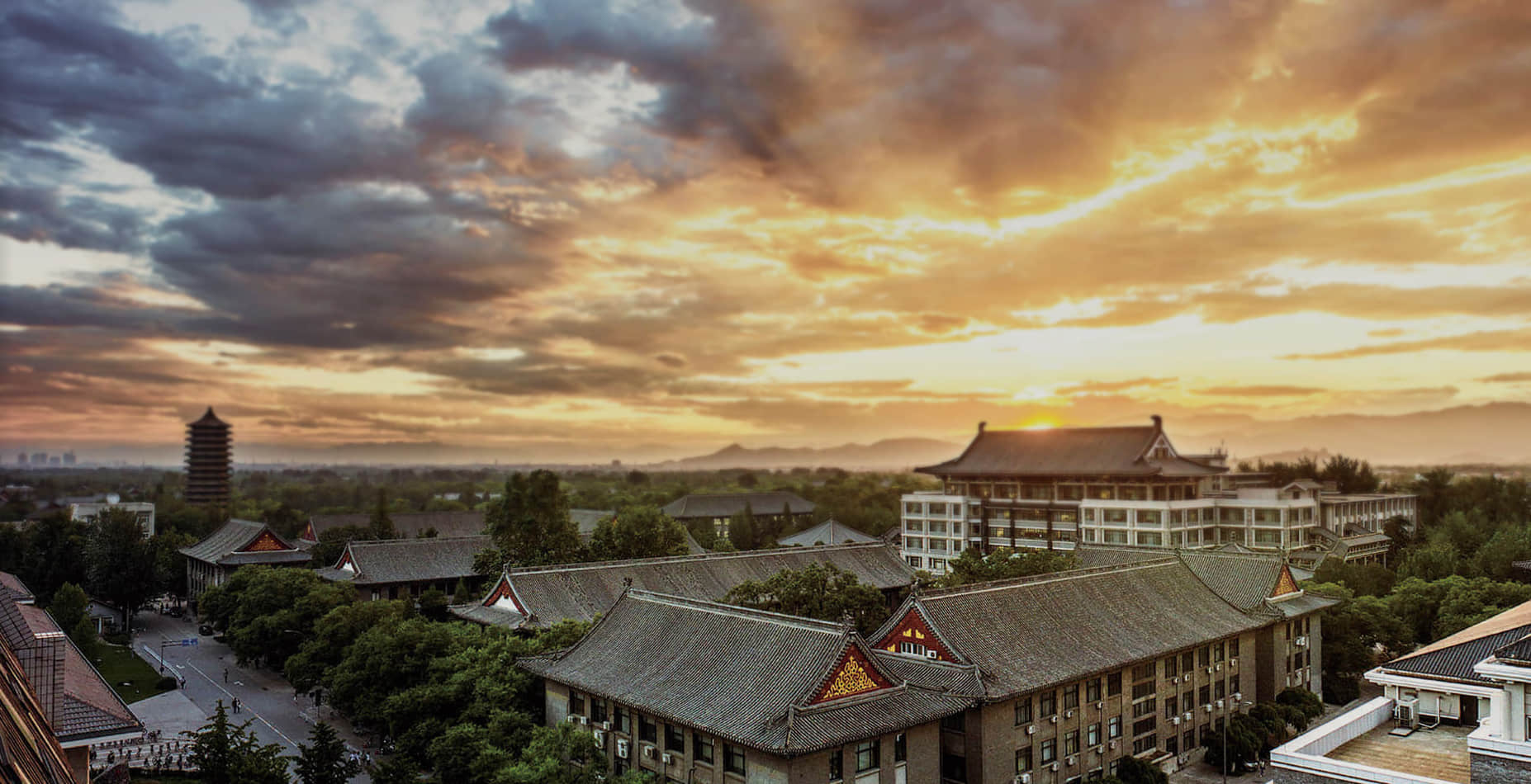 企業展示型網站類型你了解多少?