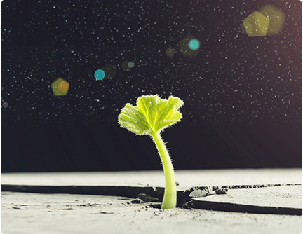 互動網站建設網如何通過用戶體驗培養客戶信心?