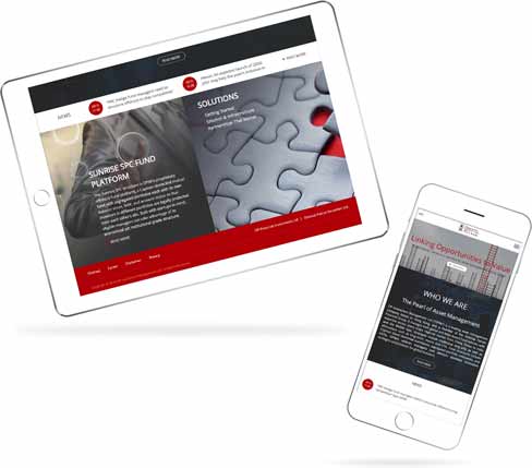 深圳網(wǎng)站建設(shè)案例分享東英投資 深圳網(wǎng)站建設(shè)案例分享東英投資