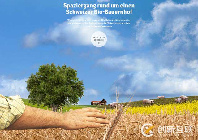 深圳好的設(shè)計公司 深圳好的設(shè)計公司