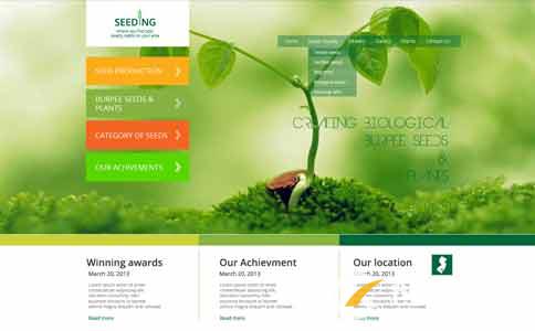 改版網站有收錄沒排名 改版網站有收錄沒排名