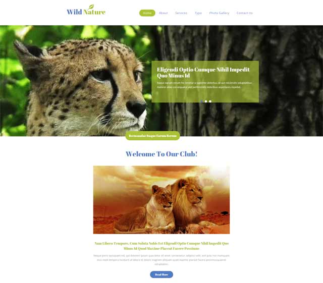 優秀品牌網站設計欣賞 優秀品牌網站設計欣賞