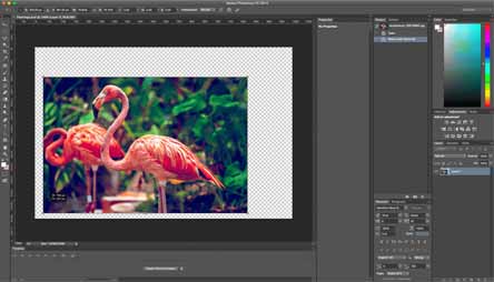 7個(gè)PS圖象處理軟件的提示和技巧 7個(gè)PS圖象處理軟件的提示和技巧
