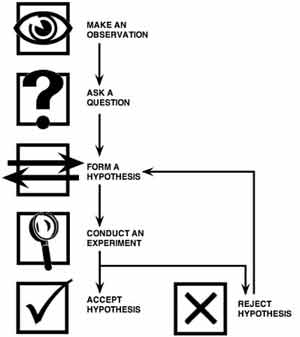 市場營銷的科學與藝術 市場營銷的科學與藝術