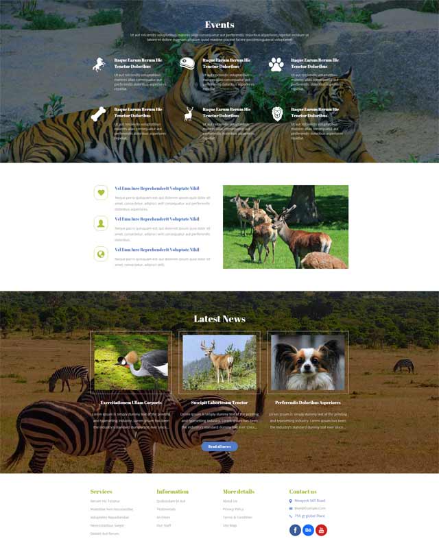 優秀品牌網站設計欣賞 優秀品牌網站設計欣賞