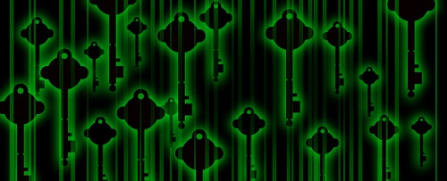 怎樣運用特殊詞匯增加網站流量 怎樣運用特殊詞匯增加網站流量