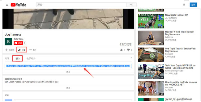 如何給網(wǎng)站內(nèi)頁(yè)添加youtobe視頻?