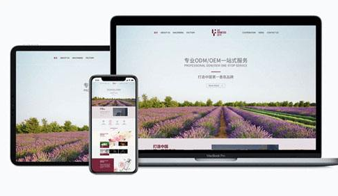 網站安全包括哪些內容? 網站安全包括哪些內容?