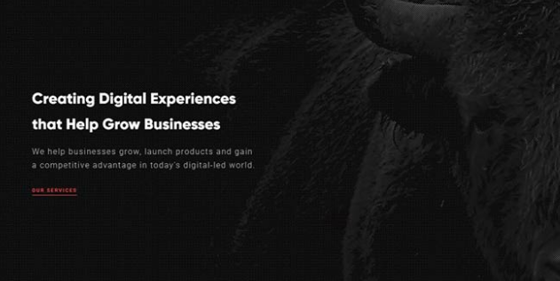 網(wǎng)站制作 網(wǎng)站制作