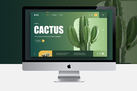 上海網(wǎng)頁(yè)設(shè)計(jì)