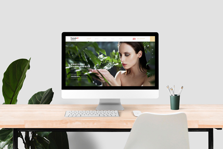 定制網站建設,普寧網站建設 定制網站建設,普寧網站建設